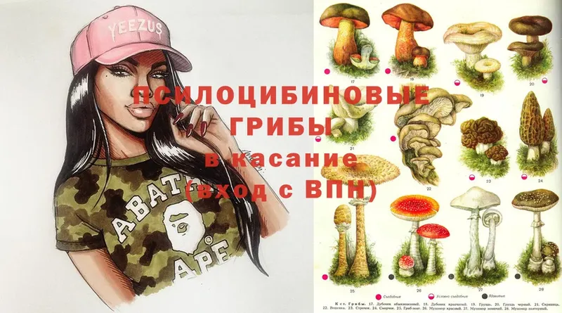 МЕГА маркетплейс  Рославль  Псилоцибиновые грибы Cubensis 